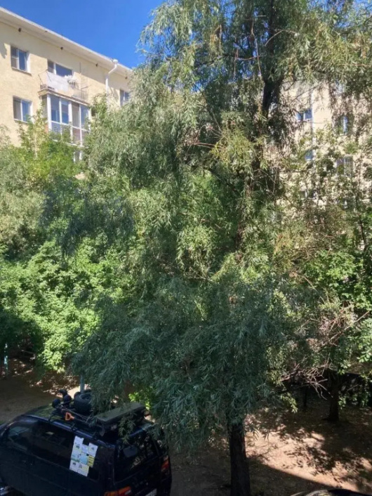 Фотографии квартиры 
            Апартаменты на улице Полковая