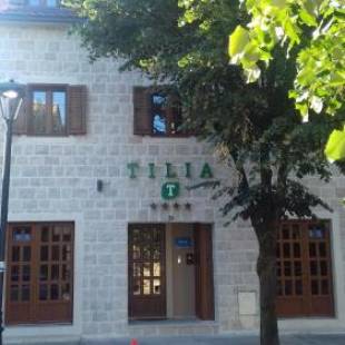 Фотография гостевого дома Tilia