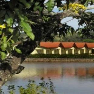 Фотографии гостиницы 
            Resort Monte das Oliveiras