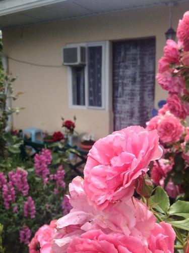 Фотографии гостевого дома
Отдых у Моря