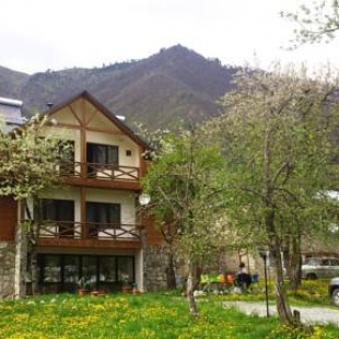 Фотография гостиницы Hotel Chubu