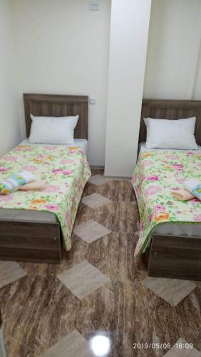 Фотография хостела Green Palma