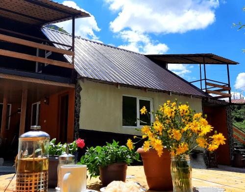 Фотографии гостевого дома
Kesane