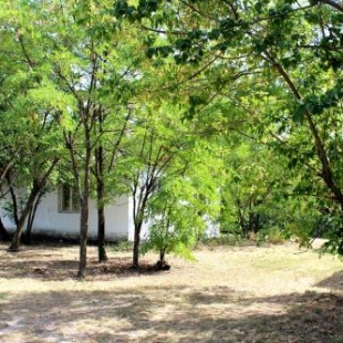 Фотография гостевого дома Лесная рыболовно-охотничья заимка