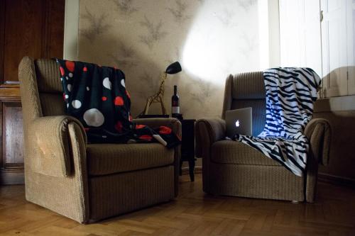 Фотография хостела Dingo Backpackers