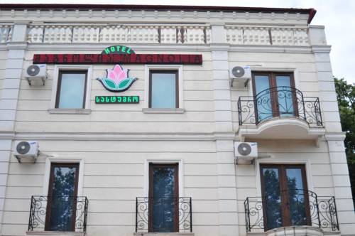 Фотография гостиницы Hotel Magnolia