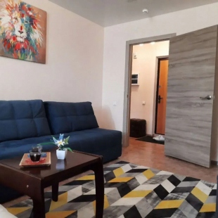 Фотография квартиры Апартаменты на Московском Проспекте 120 (25)