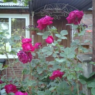 Фотография хостела Тёплый