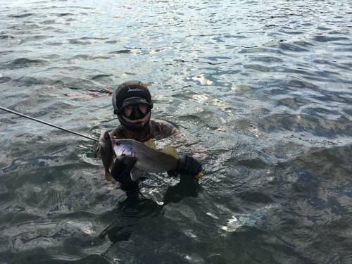 Фотографии гостевого дома 
            У Карины