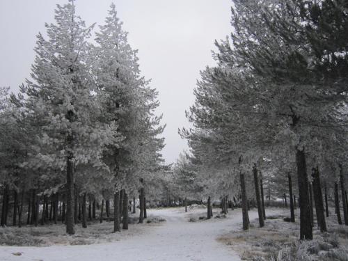 Фотография хостела Residencial Mira-Sol