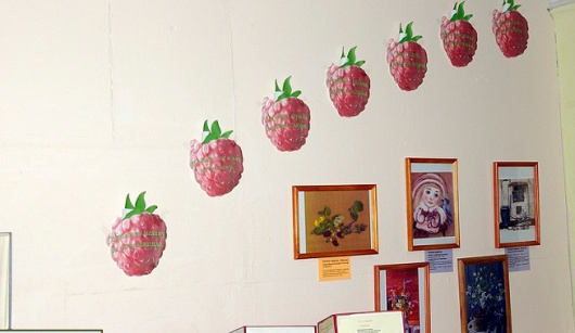 Фотографии музея
Музей малины