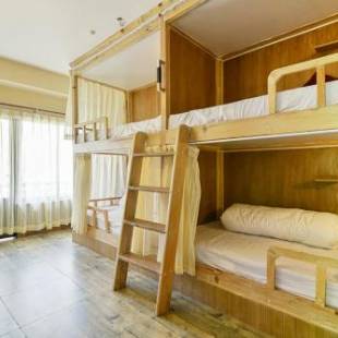 Фотографии гостиницы 
            Hotel Forest Lake Backpackers' Hostel
