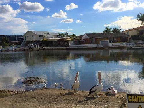 Фотография гостиницы Pelican Cove Apartments