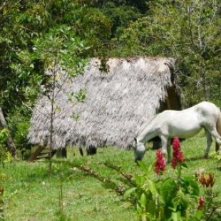 Фотография гостевого дома La Perla Negra - Black Pearl