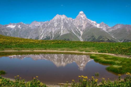 Фотографии мини отеля 
            Misimalat