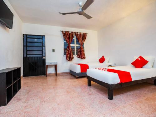 Фотографии гостиницы
Casa Cuevas & Amaro