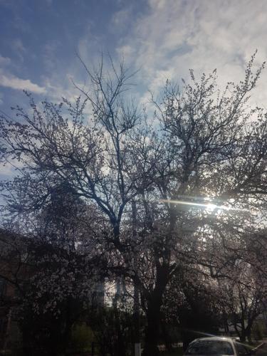 Фотография гостиницы Отель