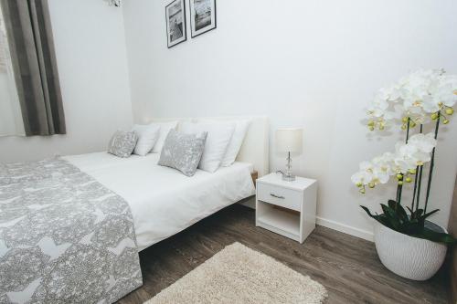 Фотография хостела Hostel Globo