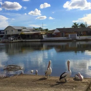 Фотография гостиницы Pelican Cove Apartments