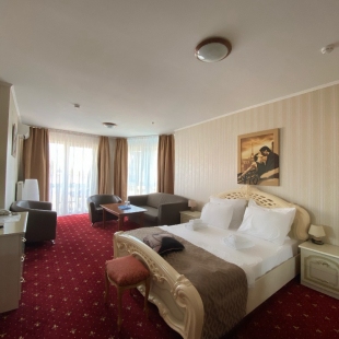 Фотография номера гостиницы Отель Ренессанс