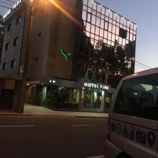 Фотографии гостиницы 
            Hotel Puma