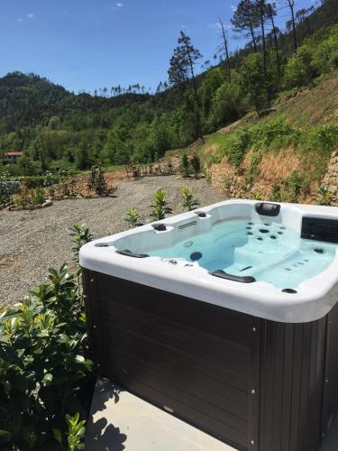 Фотография гостевого дома Orchidea