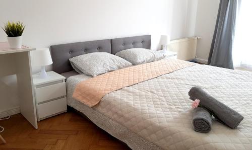 Фотография квартиры Apartament Peowiaków Queens
