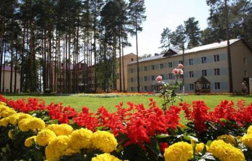 Фотографии санатория
Красная гвоздика