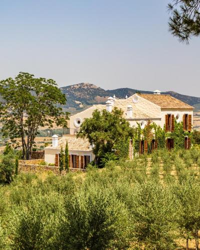 Фотография гостиницы Cortijo LA Organic