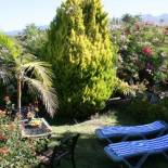 Фотография гостевого дома Inés