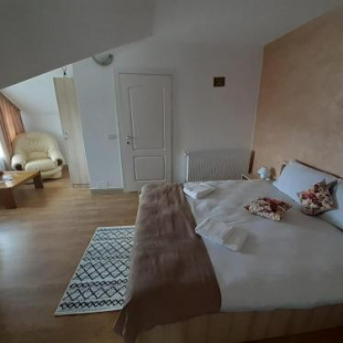 Фотография гостевого дома Pensiunea Alessia