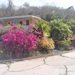 Фотография гостевого дома Kazavannah beautiful brand new bungalow Vieux Habitants Guadeloupe