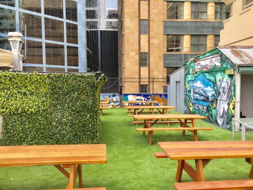 Фотография хостела Sydney Backpackers