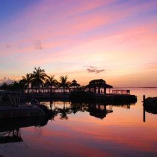 Фотографии гостиницы 
            Amoray Dive Resort