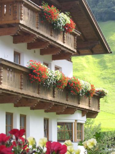 Фотография базы отдыха Lexhof