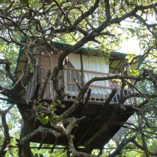 Фотографии гостиницы
Khaama Kethna Eco Sustainable Village