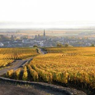 Фотографии мини отеля
Clos Saint Jacques - Maison d'Hôtes