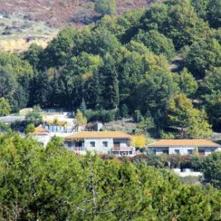 Фотографии гостевого дома 
            916 Mountain Resort