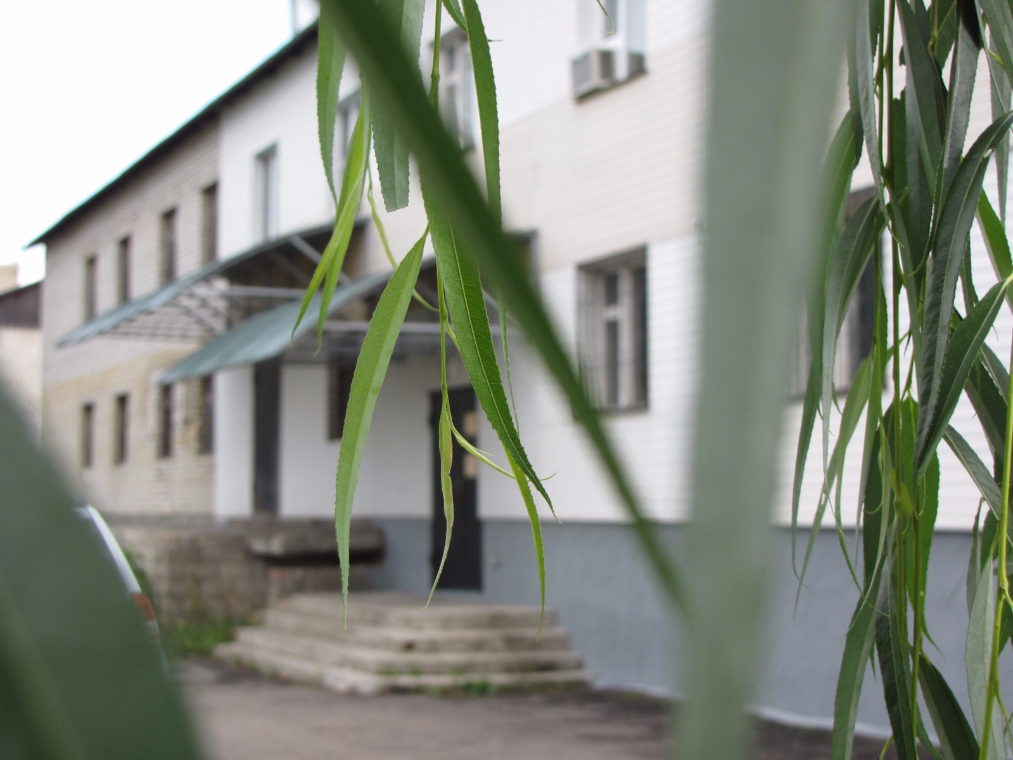 Фотография гостиницы Юнона