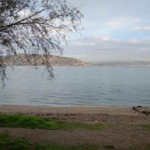 Фотография гостевого дома Seaside Studio