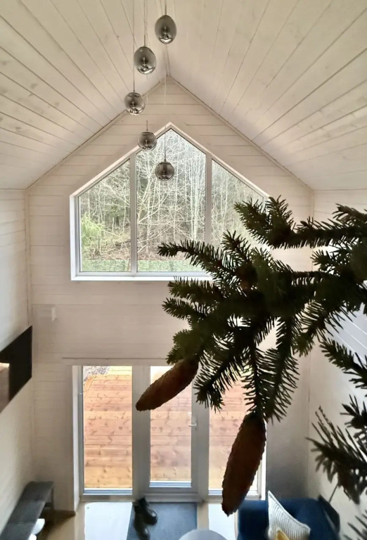 Фотография Коттеджа Частный дом Уютный домик в деревне Новосиверская