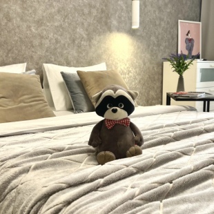 Фотография квартиры Апартаменты Сканди