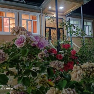 Фотография гостевого дома Qebelede kiraye villa