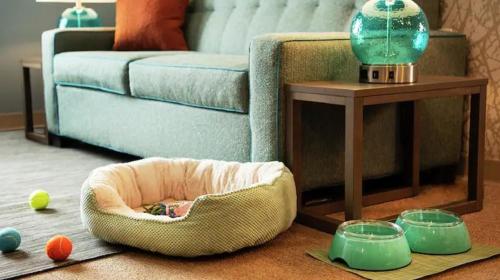 Фотография гостиницы Home2 Suites By Hilton Grand Rapids North