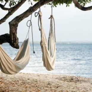 Фотографии мини отеля 
            Hotel Playa Manglares Isla Baru