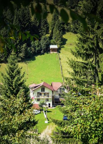 Фотография гостевого дома Pensiunea Puiu