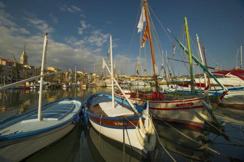 Фотография гостевого дома Pitibi
