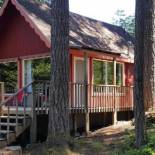 Фотография гостевого дома Little Red Cabin minutes to Mt Rainier Entrance