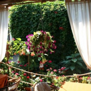 Фотография гостиницы Marco Polo