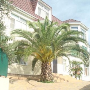 Фотография апарт отеля Arabika